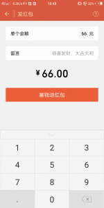 Wechat pay function