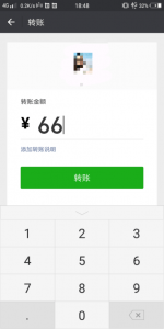 Wechat Pay Function