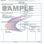 Import License