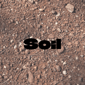 Picture of Soil
