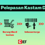 Bagaimana pengimport di China menguruskan pelepasan Kastam?