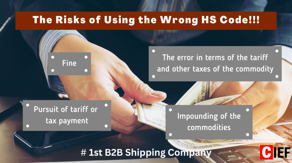 What is HS Code? C.I.E.F