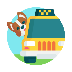 Book your trip now with our pet taxi service