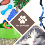 Unleashing the World of Pet Supplies from China to Malaysia